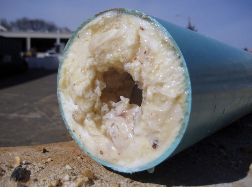 Cross-section of wastewater wipe clogged with grease.